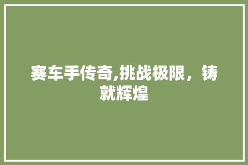 赛车手传奇,挑战极限，铸就辉煌