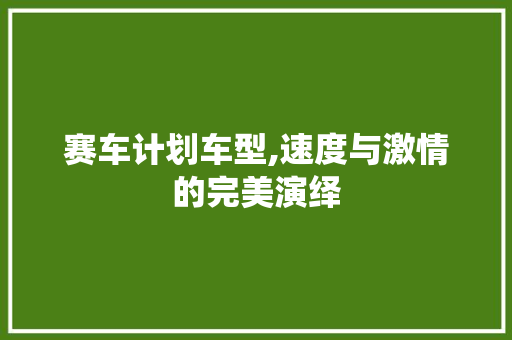 赛车计划车型,速度与激情的完美演绎