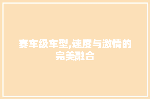 赛车级车型,速度与激情的完美融合