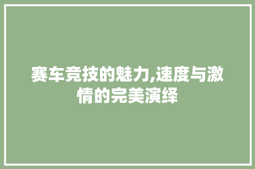赛车竞技的魅力,速度与激情的完美演绎