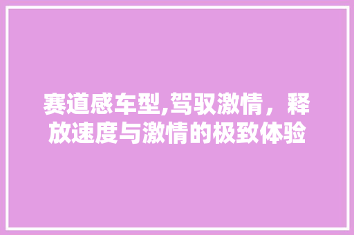 赛道感车型,驾驭激情，释放速度与激情的极致体验
