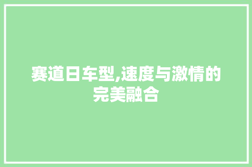 赛道日车型,速度与激情的完美融合