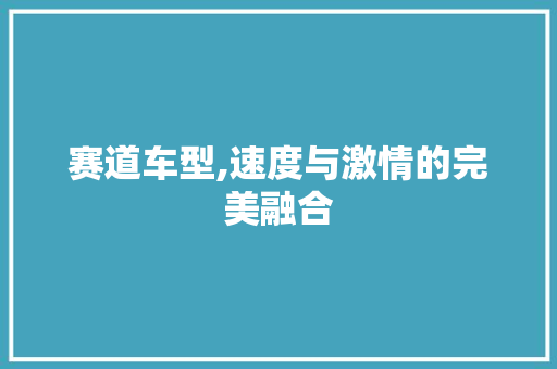 赛道车型,速度与激情的完美融合