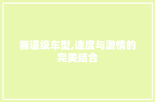 赛道级车型,速度与激情的完美结合