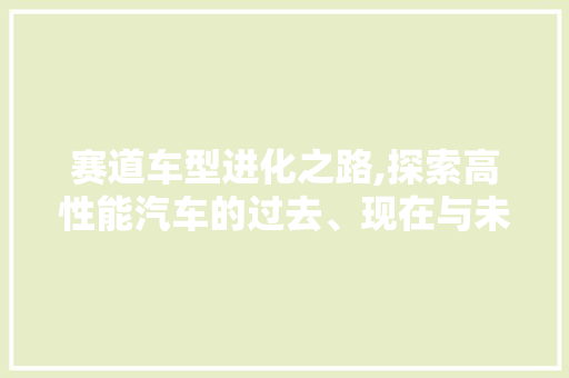 赛道车型进化之路,探索高性能汽车的过去、现在与未来