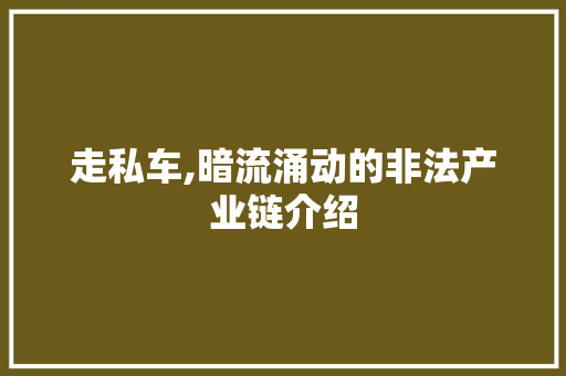 走私车,暗流涌动的非法产业链介绍