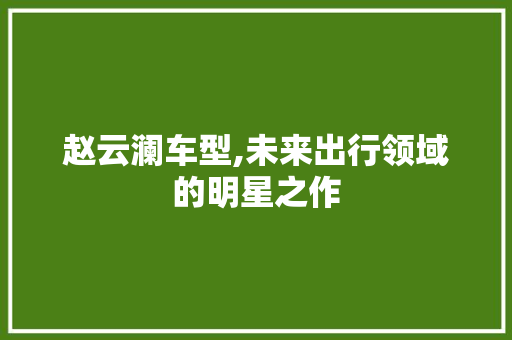 赵云澜车型,未来出行领域的明星之作