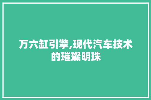 万六缸引擎,现代汽车技术的璀璨明珠