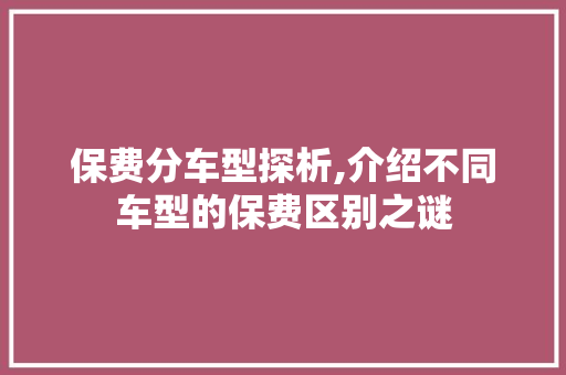 保费分车型探析,介绍不同车型的保费区别之谜