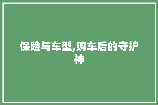 保险与车型,购车后的守护神
