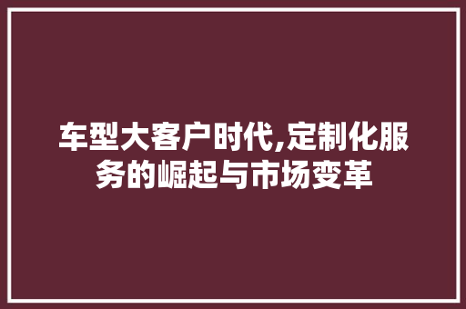 车型大客户时代,定制化服务的崛起与市场变革