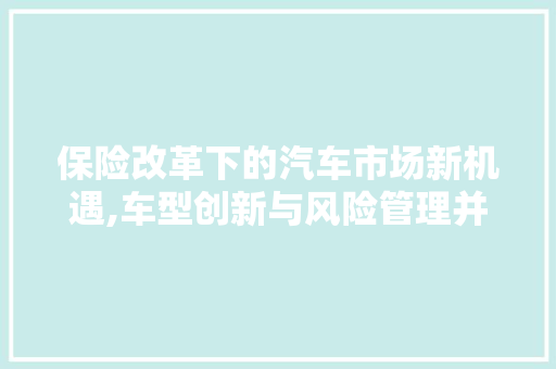 保险改革下的汽车市场新机遇,车型创新与风险管理并重