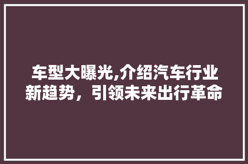 车型大曝光,介绍汽车行业新趋势，引领未来出行革命