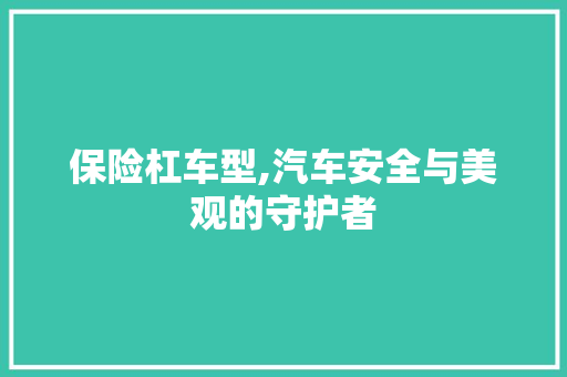 保险杠车型,汽车安全与美观的守护者 车灯配件