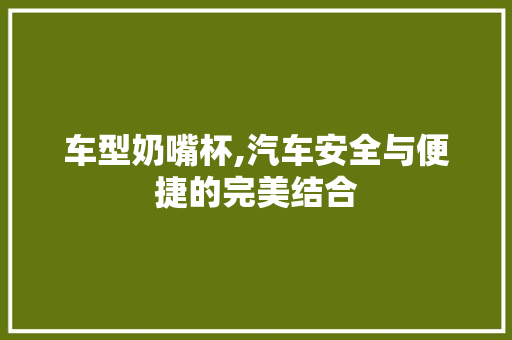 车型奶嘴杯,汽车安全与便捷的完美结合