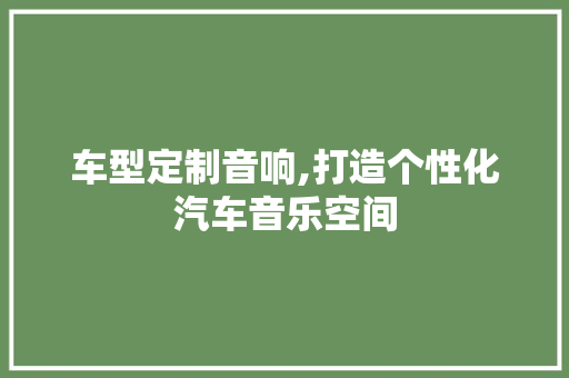 车型定制音响,打造个性化汽车音乐空间