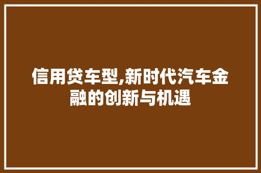 信用贷车型,新时代汽车金融的创新与机遇