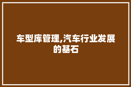 车型库管理,汽车行业发展的基石
