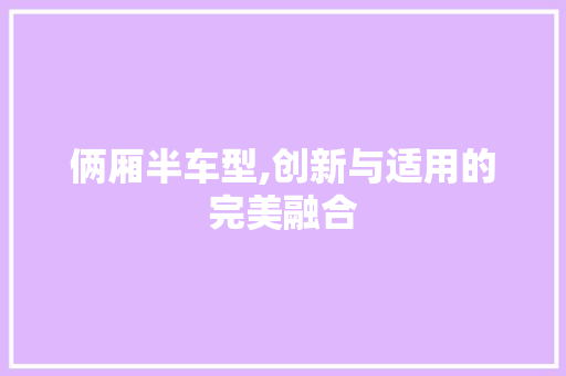俩厢半车型,创新与适用的完美融合