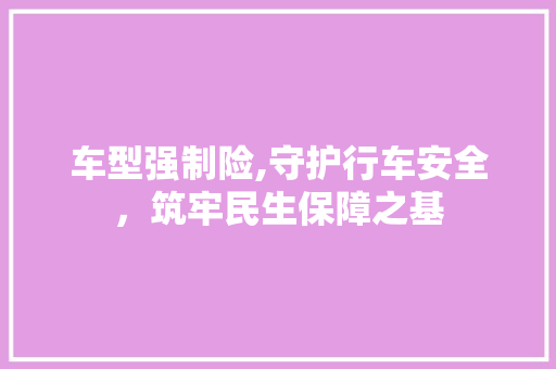 车型强制险,守护行车安全，筑牢民生保障之基