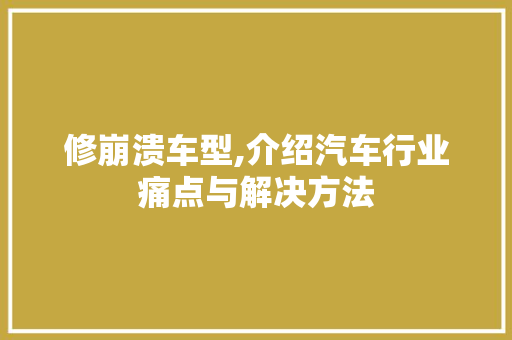 修崩溃车型,介绍汽车行业痛点与解决方法