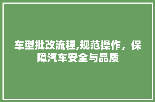 车型批改流程,规范操作，保障汽车安全与品质