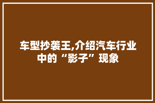 车型抄袭王,介绍汽车行业中的“影子”现象