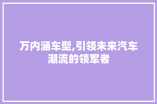 万内涵车型,引领未来汽车潮流的领军者