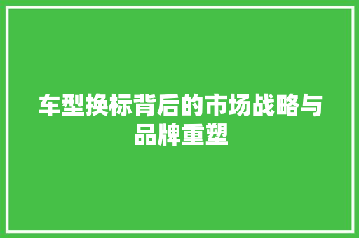车型换标背后的市场战略与品牌重塑