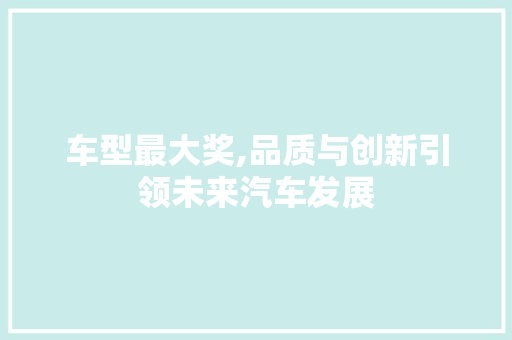 车型最大奖,品质与创新引领未来汽车发展