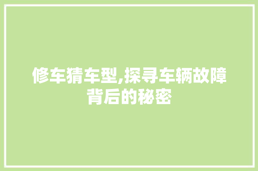 修车猜车型,探寻车辆故障背后的秘密