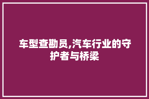 车型查勘员,汽车行业的守护者与桥梁