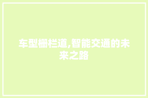 车型栅栏道,智能交通的未来之路