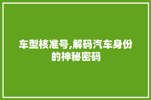 车型核准号,解码汽车身份的神秘密码