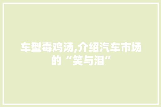 车型毒鸡汤,介绍汽车市场的“笑与泪”