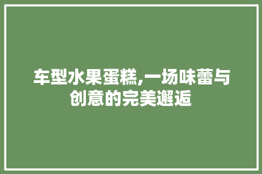 车型水果蛋糕,一场味蕾与创意的完美邂逅 蓄电池配件