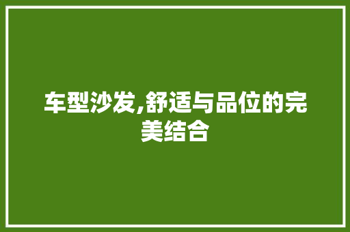 车型沙发,舒适与品位的完美结合
