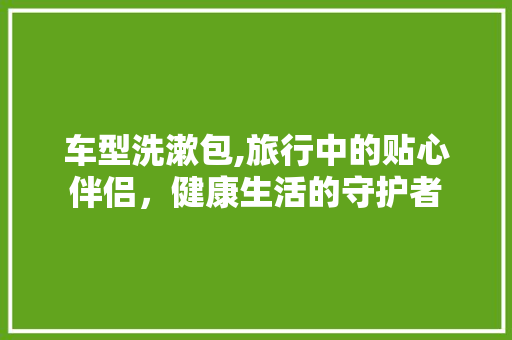 车型洗漱包,旅行中的贴心伴侣，健康生活的守护者