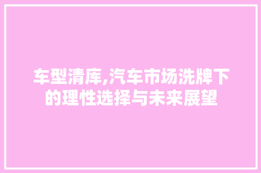 车型清库,汽车市场洗牌下的理性选择与未来展望