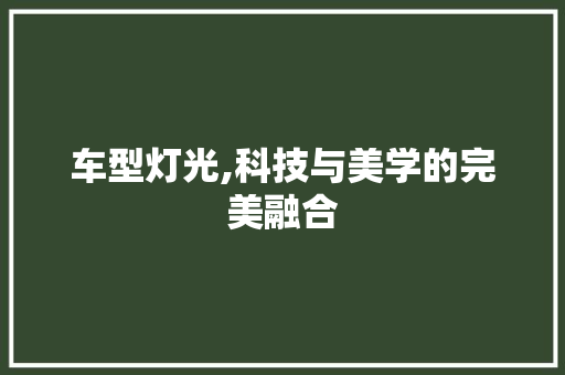 车型灯光,科技与美学的完美融合