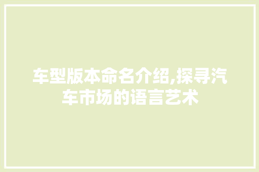车型版本命名介绍,探寻汽车市场的语言艺术 车灯配件