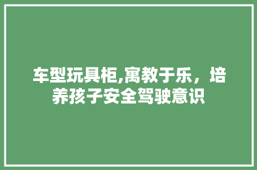 车型玩具柜,寓教于乐，培养孩子安全驾驶意识