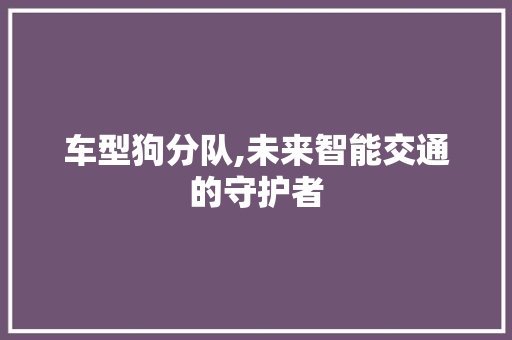 车型狗分队,未来智能交通的守护者