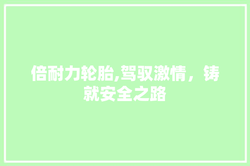 倍耐力轮胎,驾驭激情，铸就安全之路