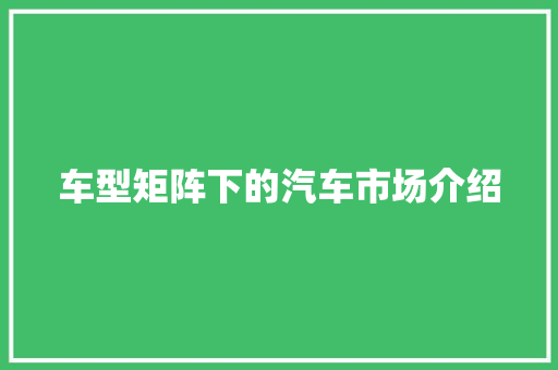 车型矩阵下的汽车市场介绍