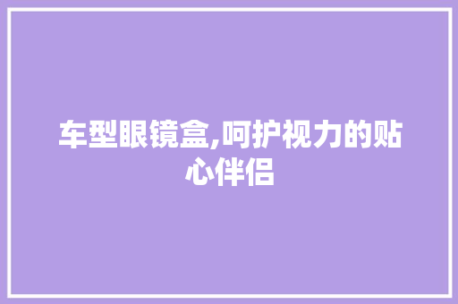 车型眼镜盒,呵护视力的贴心伴侣