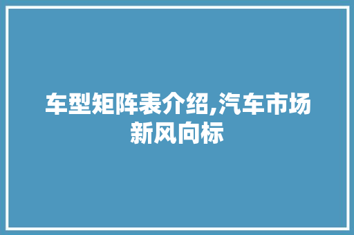 车型矩阵表介绍,汽车市场新风向标