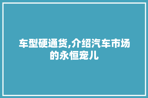 车型硬通货,介绍汽车市场的永恒宠儿