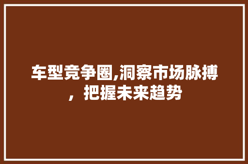车型竞争圈,洞察市场脉搏，把握未来趋势