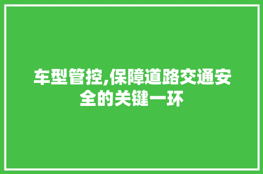 车型管控,保障道路交通安全的关键一环